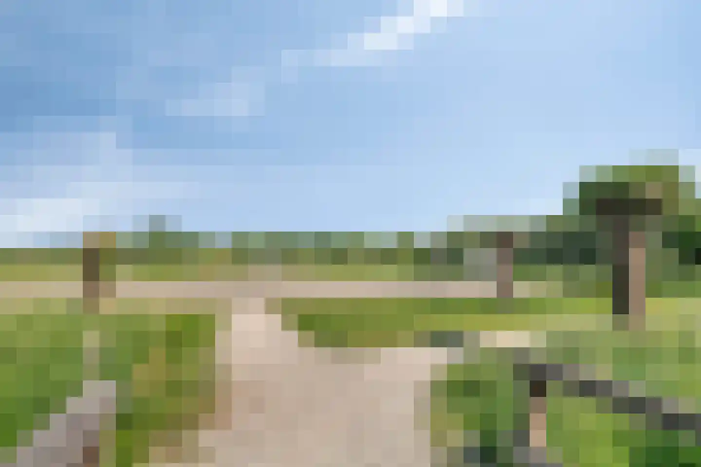 Graspieper 84 A IJsselmuiden thumbnail 75