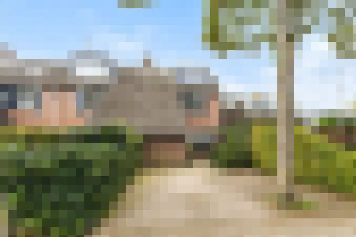 Graspieper 9 in Maartensdijk