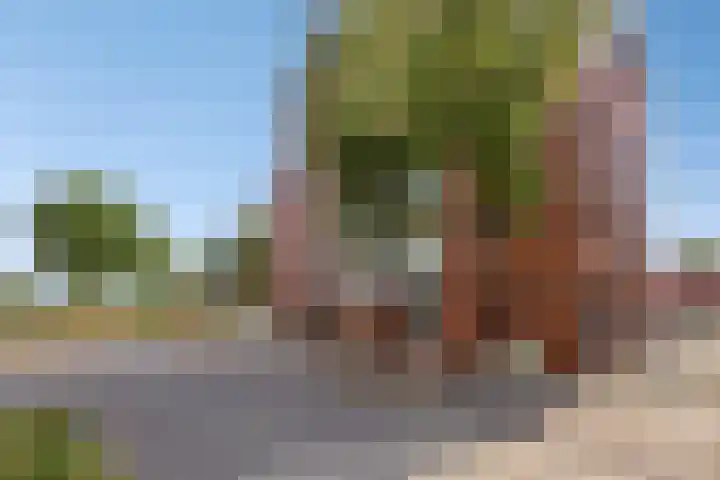 Graspieper 9 en Eindhoven
