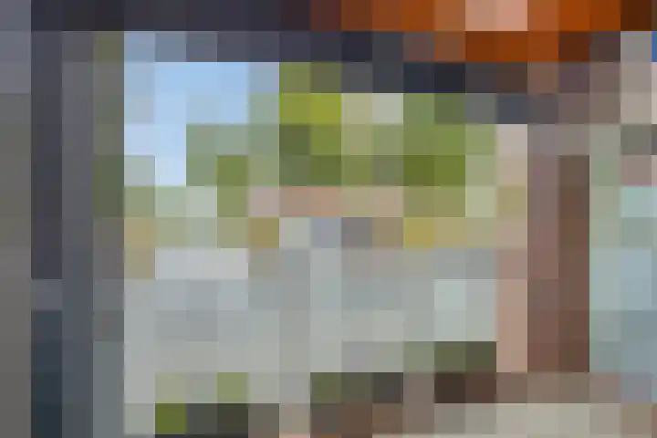 Graspieper 9 Eindhoven thumbnail 25