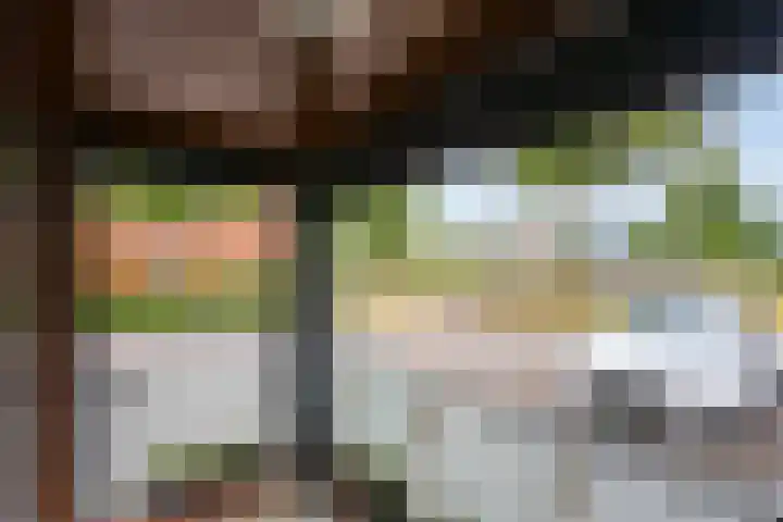 Graspieper 9 Eindhoven thumbnail 26
