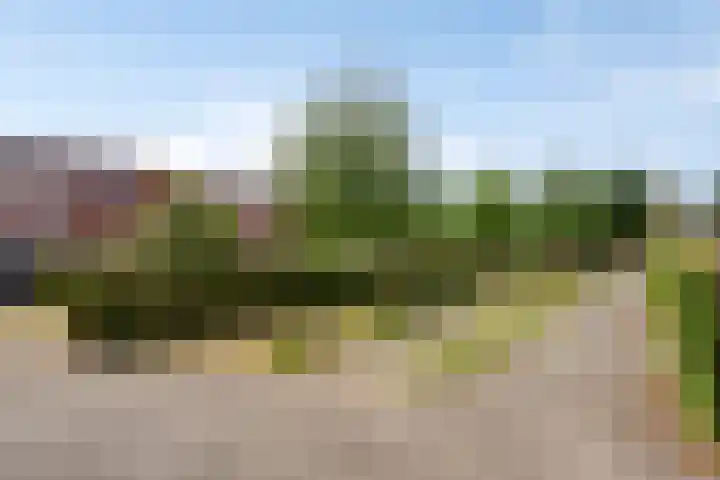 Graspieper 9 Eindhoven thumbnail 28