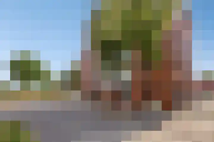 Graspieper 9 Eindhoven thumbnail 31