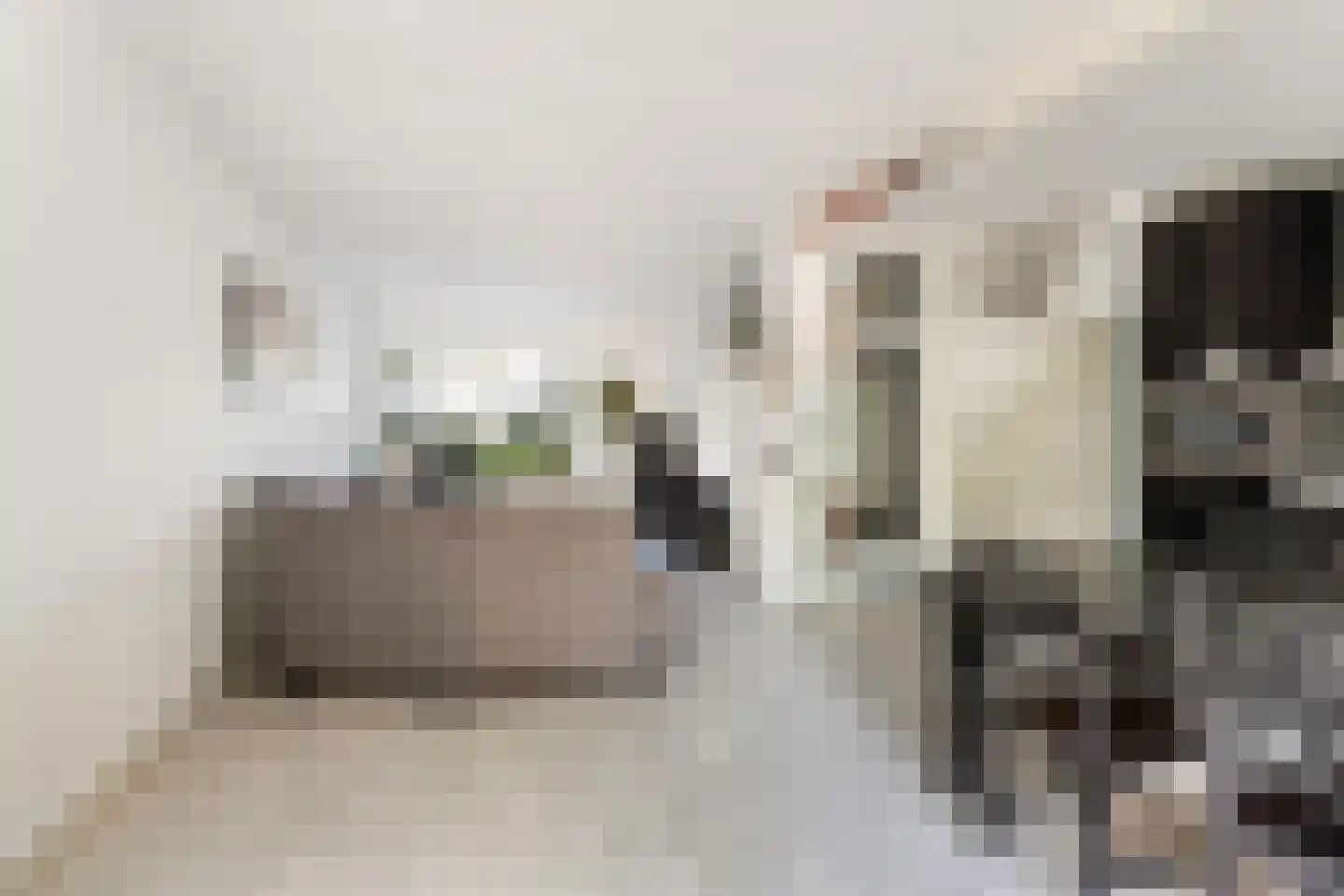 Graspieper 9 Maartensdijk thumbnail 10