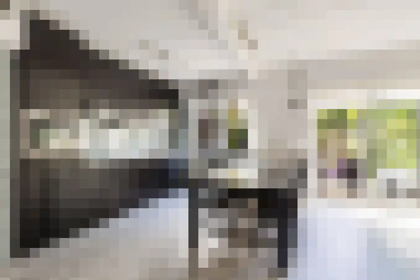 Graspieper 9 Maartensdijk thumbnail 14