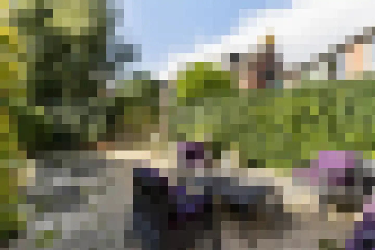 Graspieper 9 Maartensdijk thumbnail 16