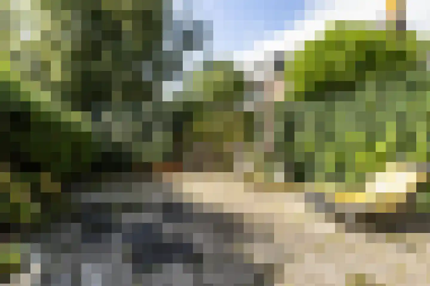 Graspieper 9 Maartensdijk thumbnail 17