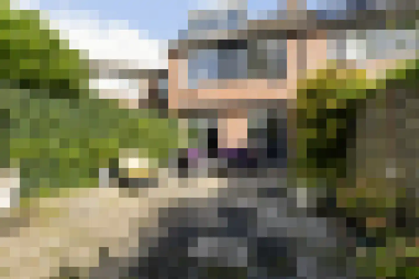 Graspieper 9 Maartensdijk thumbnail 19