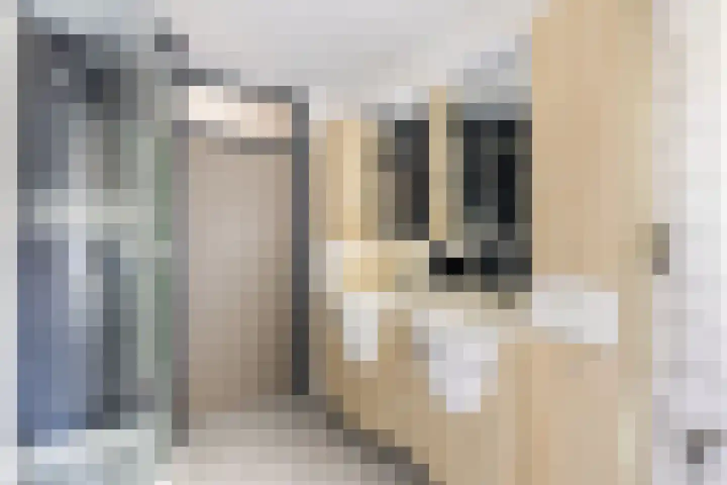 Graspieper 9 Maartensdijk thumbnail 27