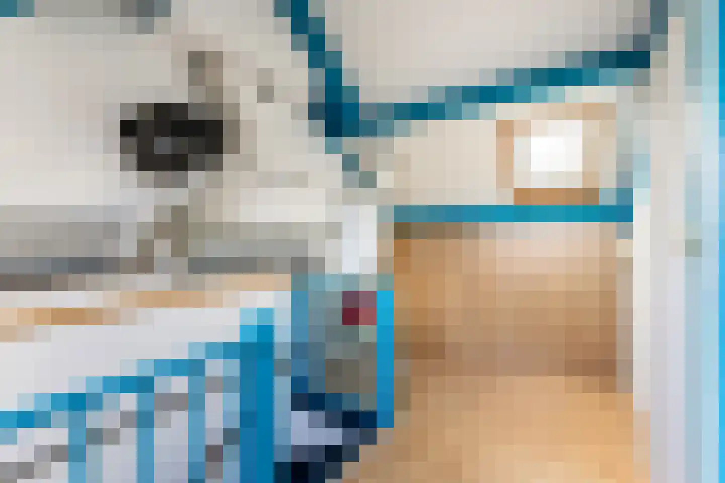 Graspieper 9 Maartensdijk thumbnail 30