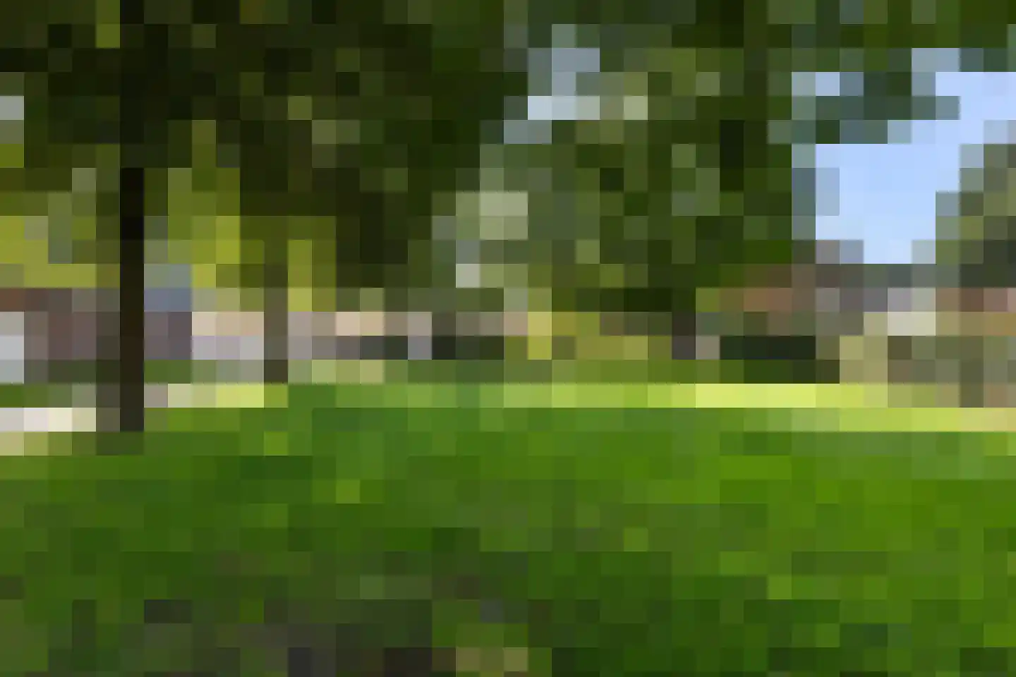 Graspieper 9 Maartensdijk thumbnail 33