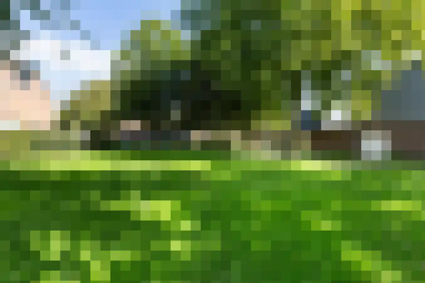 Graspieper 9 Maartensdijk thumbnail 34