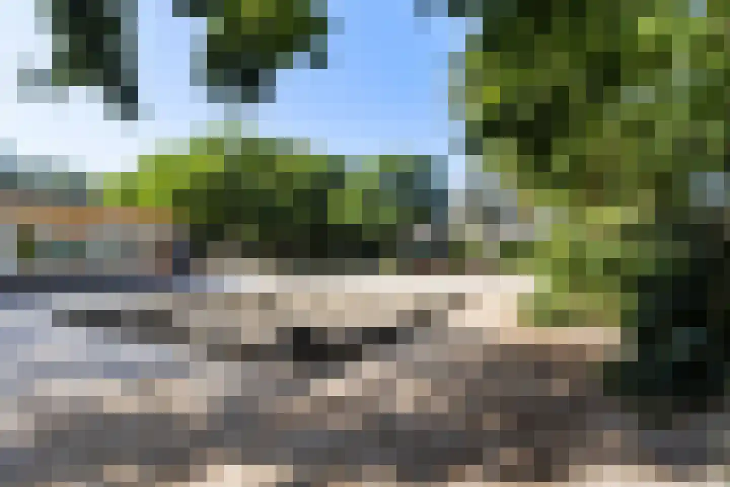 Graspieper 9 Maartensdijk thumbnail 35