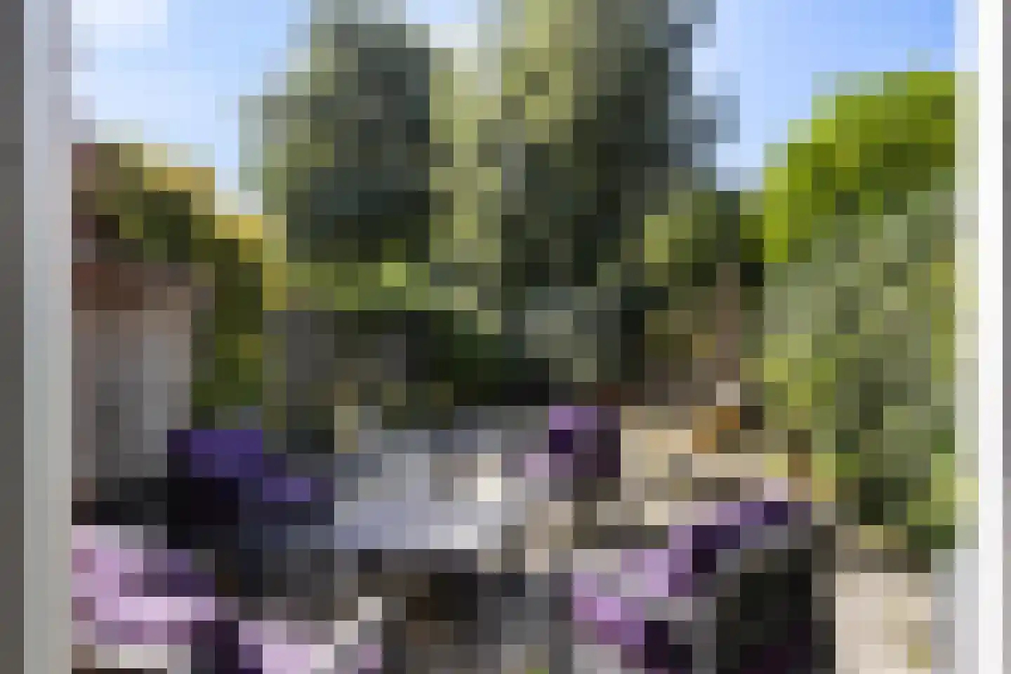 Graspieper 9 Maartensdijk thumbnail 4