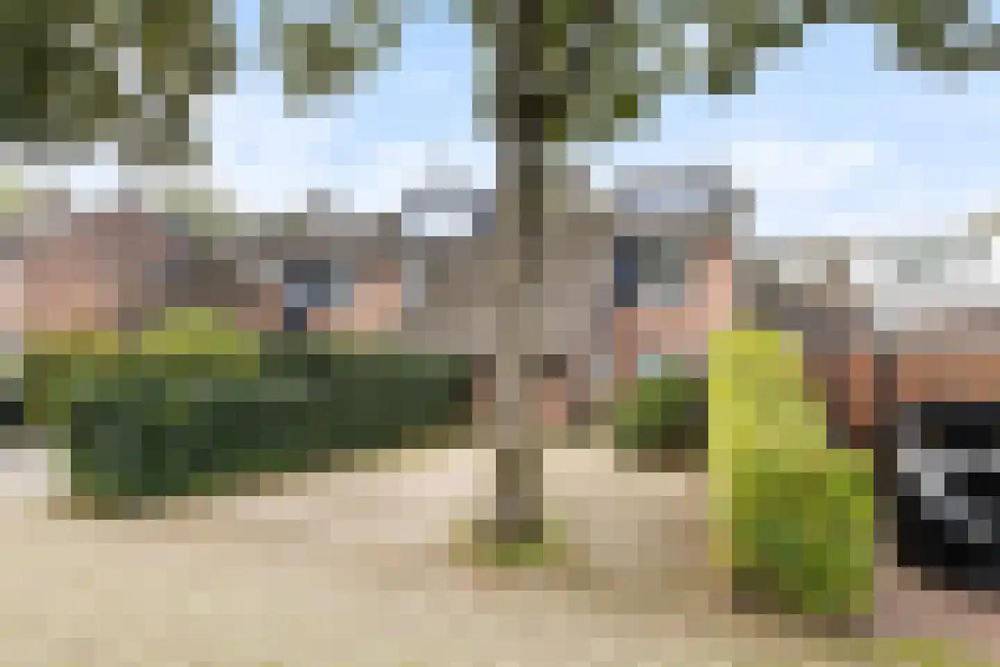 Graspieper 9 Maartensdijk thumbnail 5