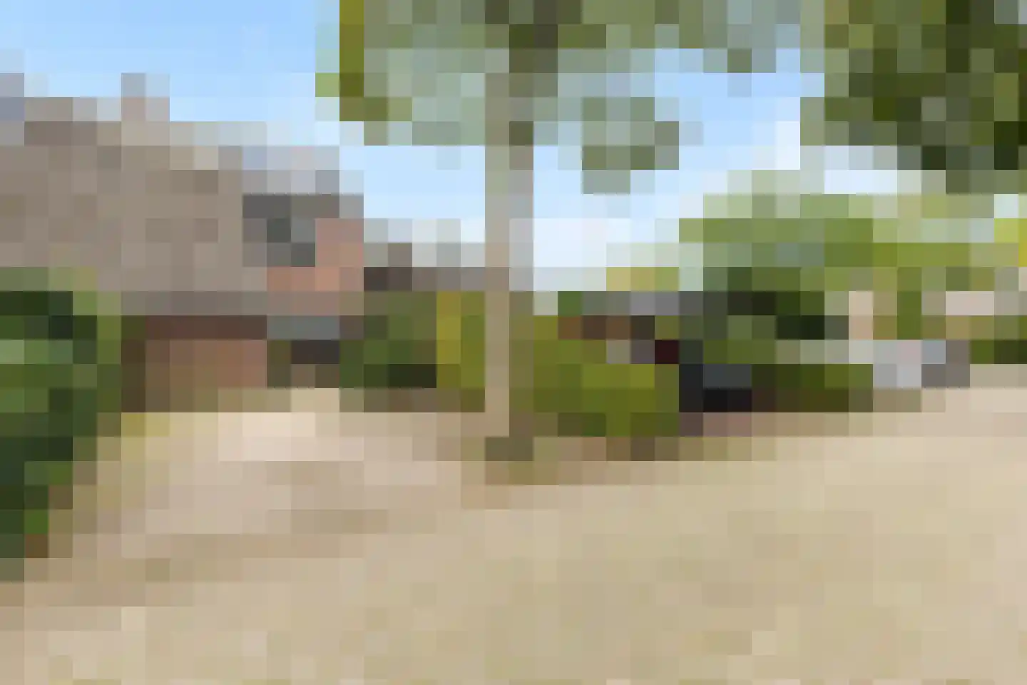 Graspieper 9 Maartensdijk thumbnail 6
