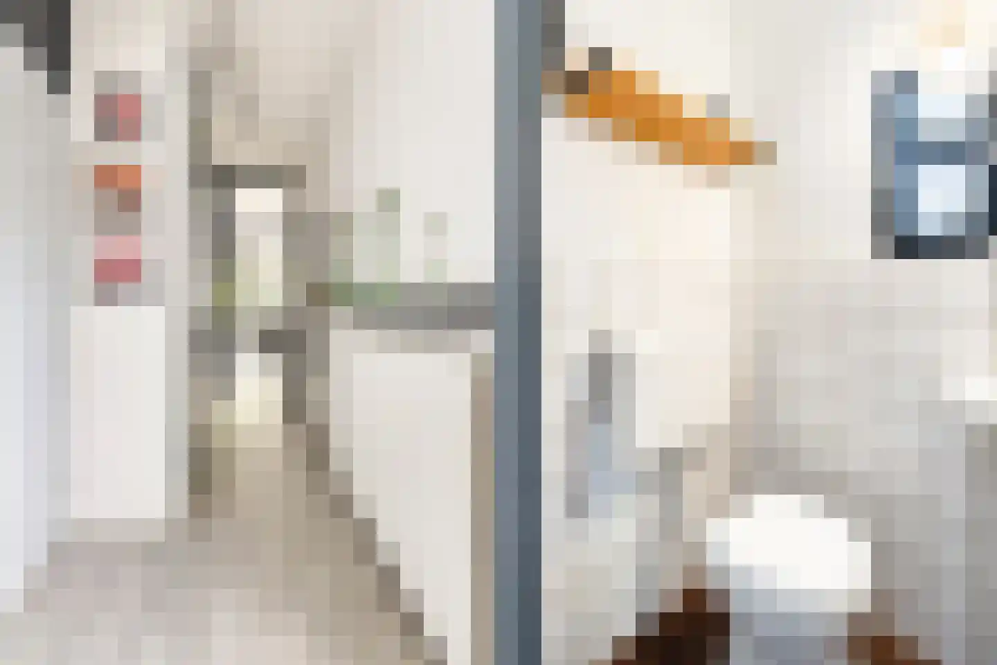 Graspieper 9 Maartensdijk thumbnail 9
