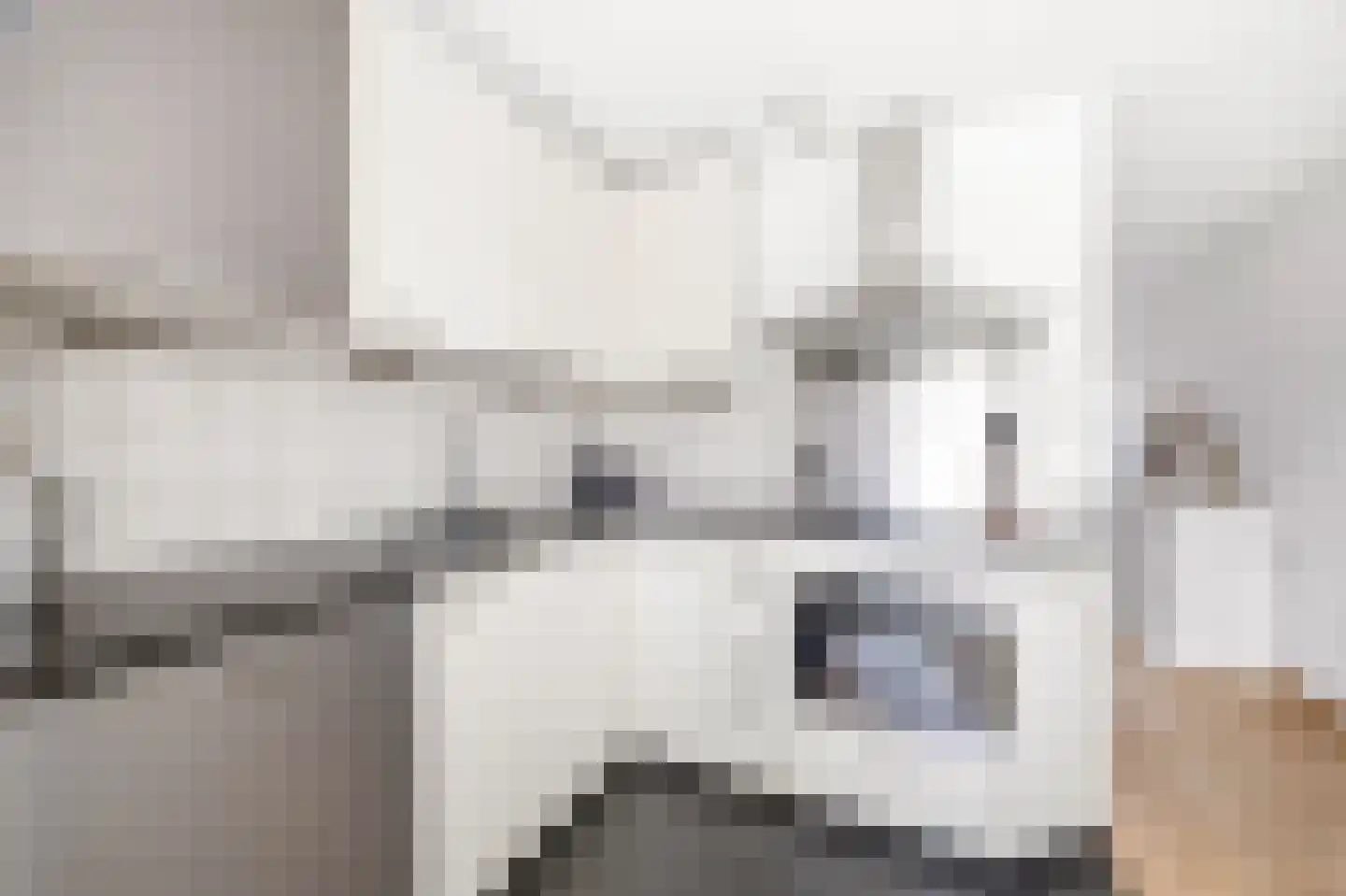 Graspieperlaan 13 Den Haag thumbnail 10