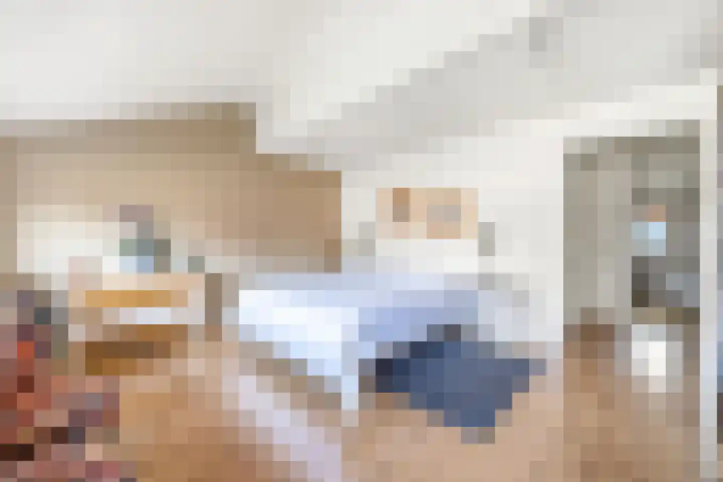 Graspieperlaan 13 Den Haag thumbnail 18