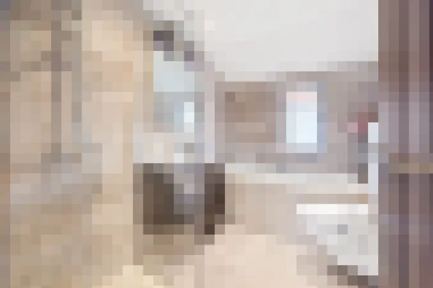 Graspieperlaan 13 Den Haag thumbnail 21
