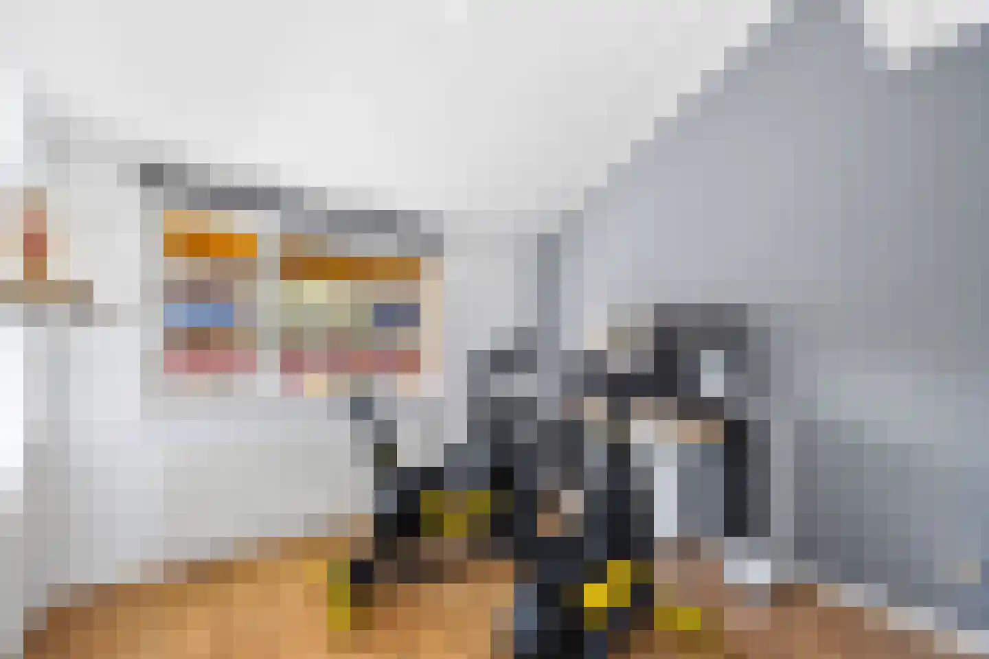 Graspieperlaan 13 Den Haag thumbnail 23