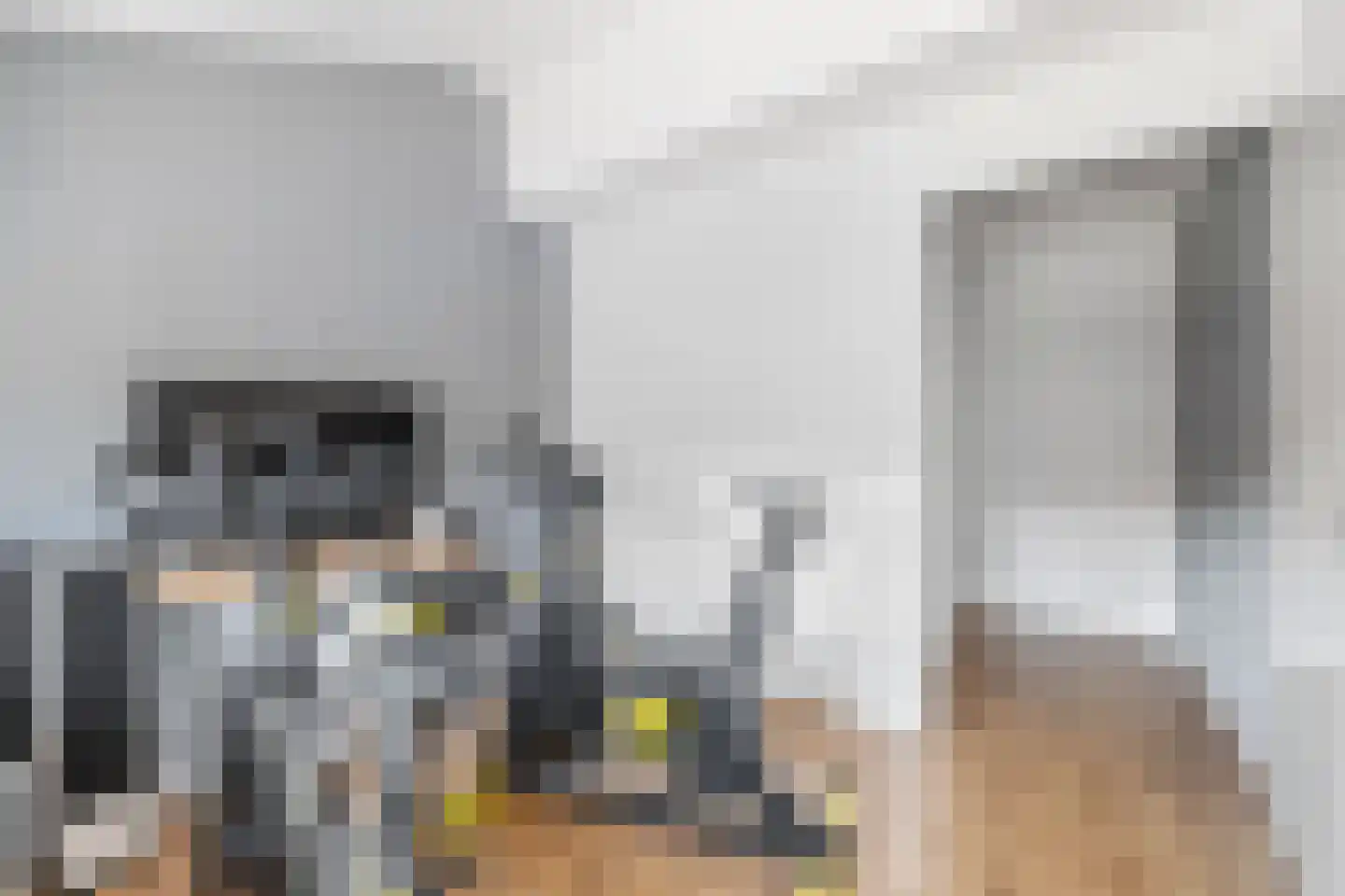 Graspieperlaan 13 Den Haag thumbnail 24
