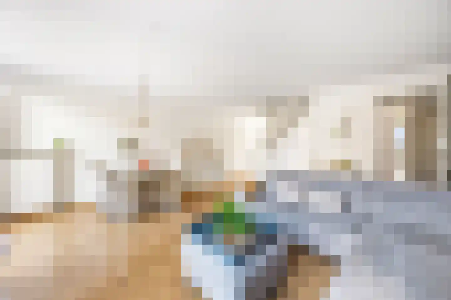 Graspieperlaan 13 Den Haag thumbnail 8