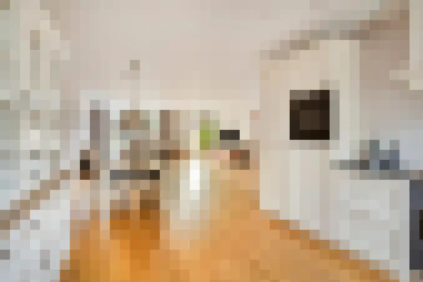 Graspieperlande 10 Pijnacker thumbnail 19