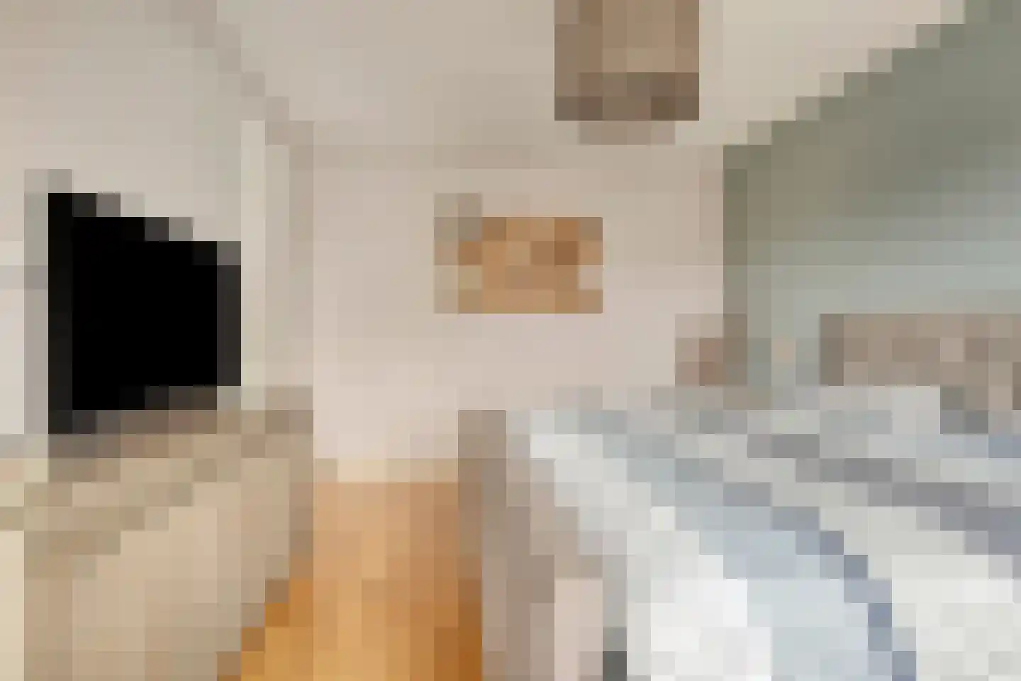 Graspieperlande 10 Pijnacker thumbnail 25