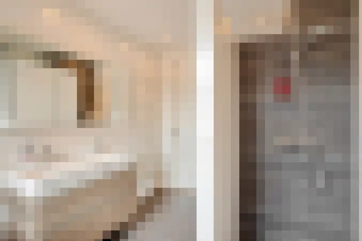 Graspieperlande 10 Pijnacker thumbnail 28
