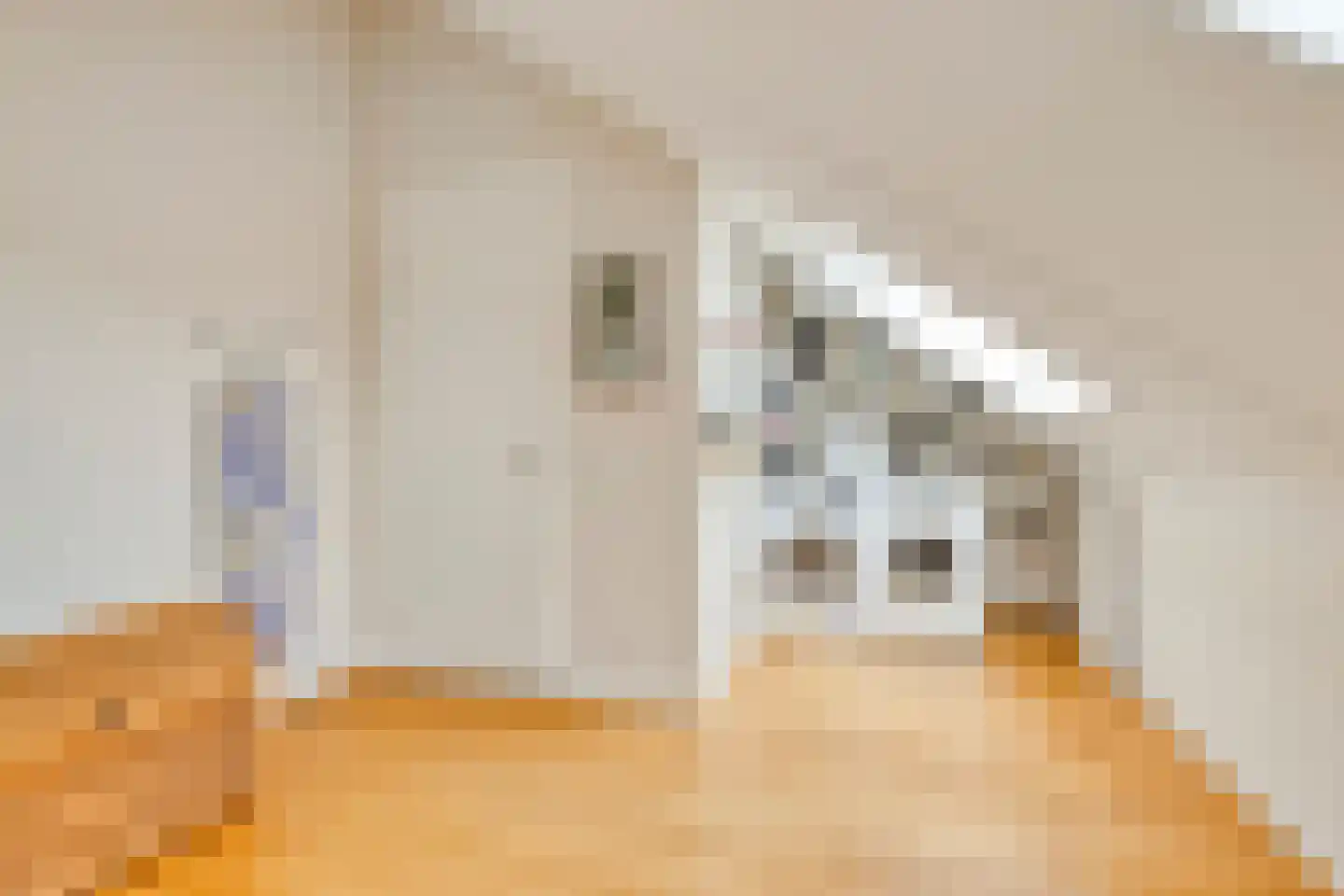 Graspieperlande 10 Pijnacker thumbnail 38