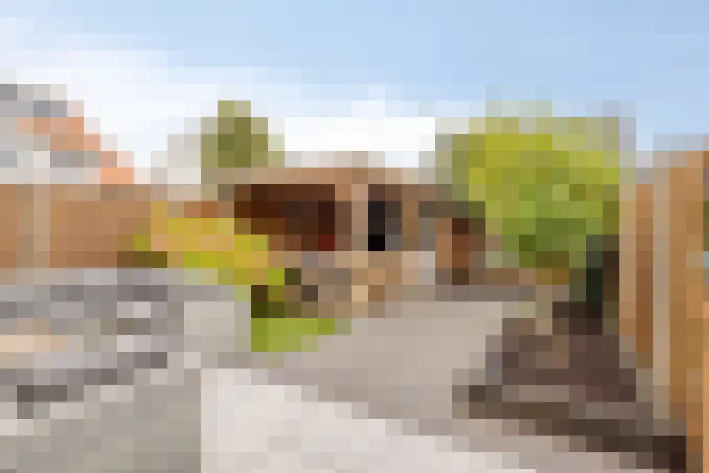 Graspieperlande 10 Pijnacker thumbnail 39