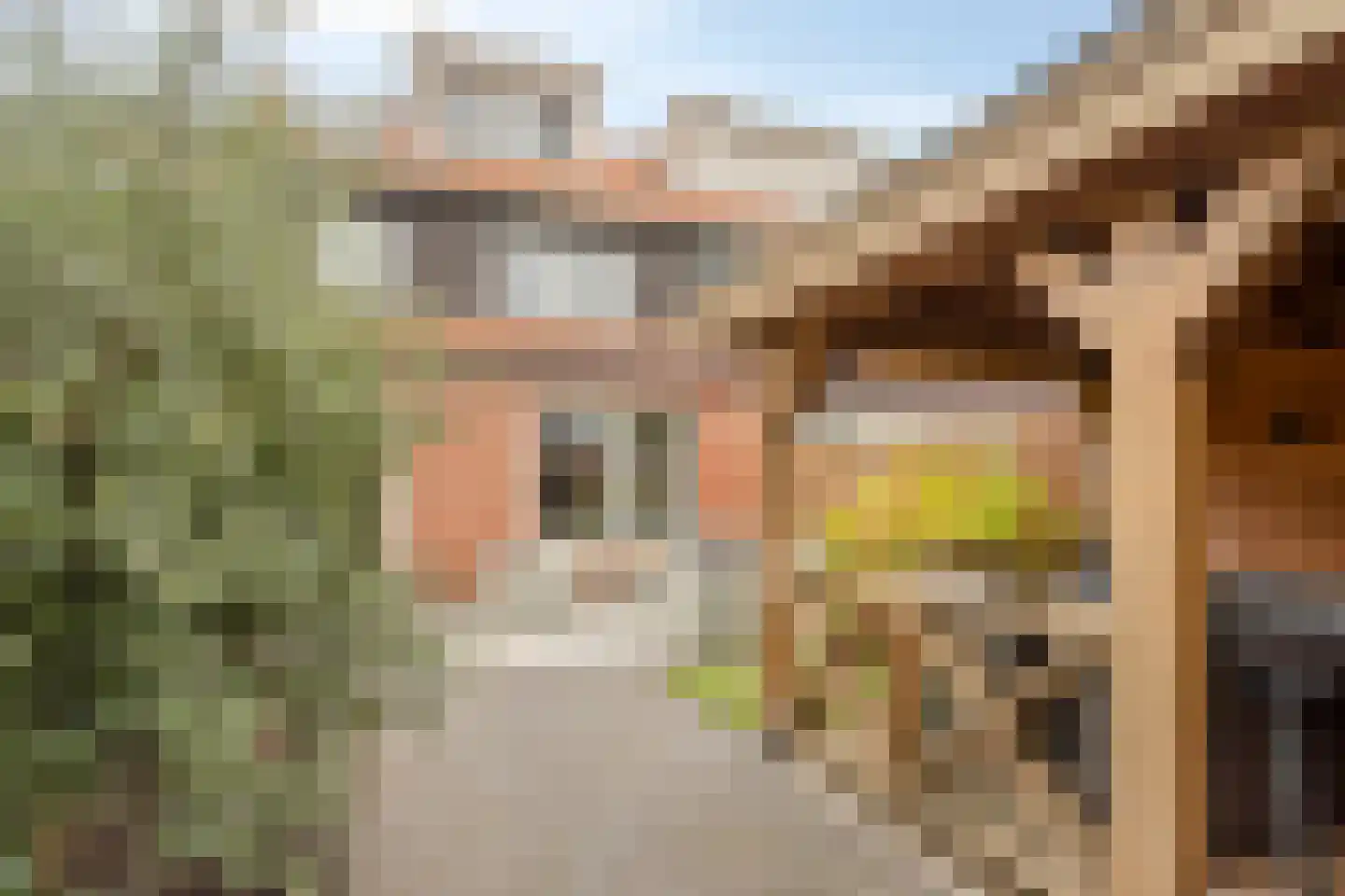 Graspieperlande 10 Pijnacker thumbnail 41