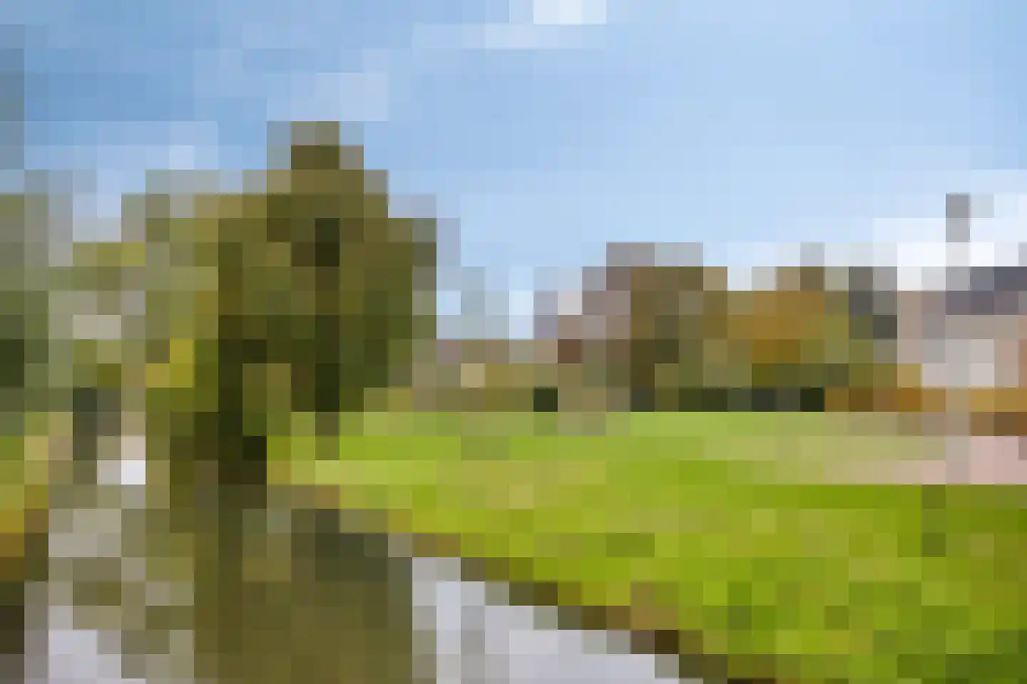 Graspieperlande 10 Pijnacker thumbnail 50