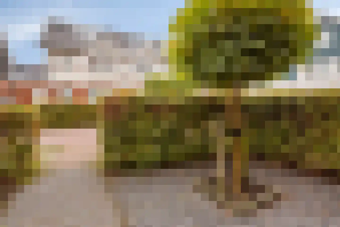 Graspieperlande 10 Pijnacker thumbnail 9