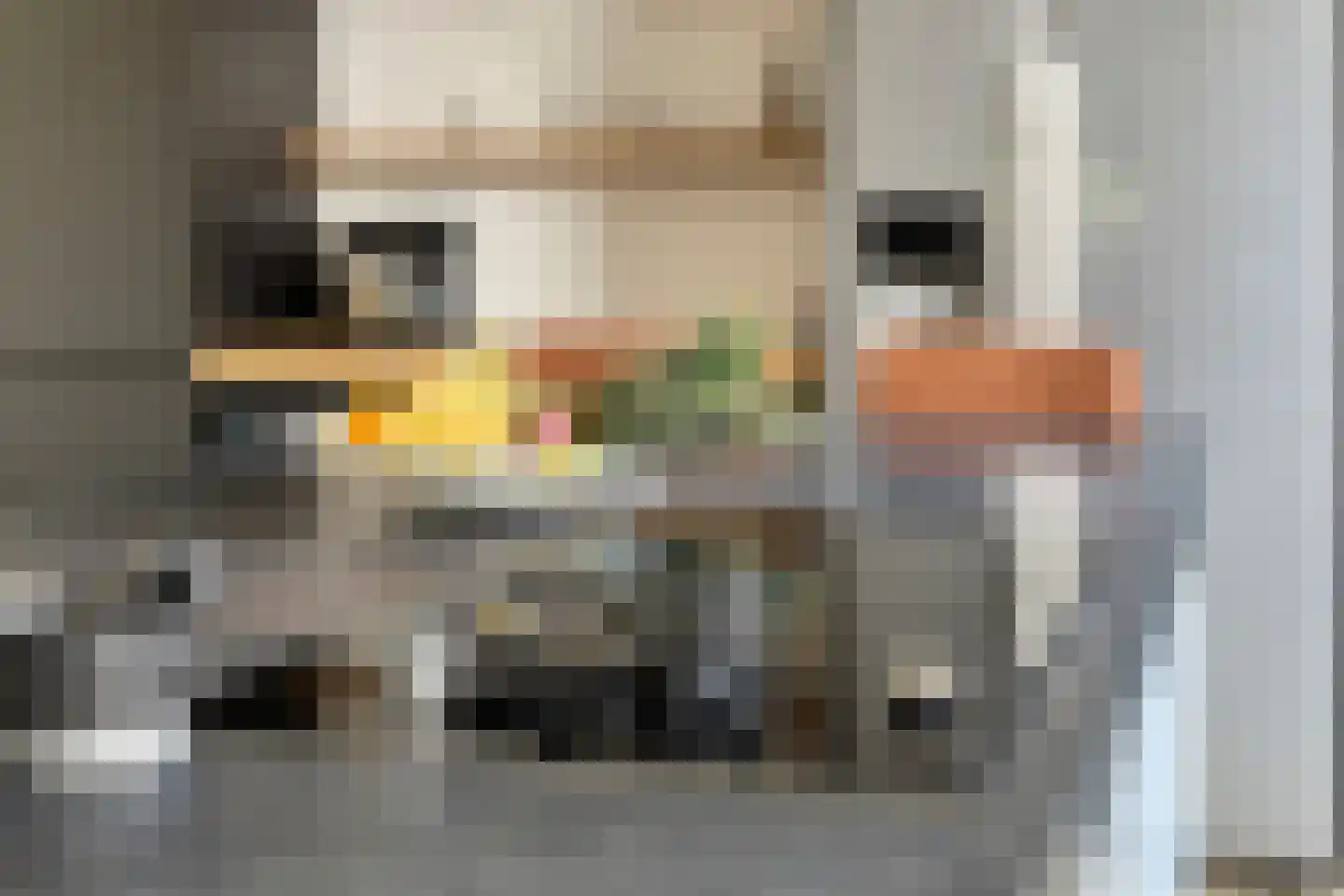 Graspieperlande 11 Pijnacker thumbnail 15