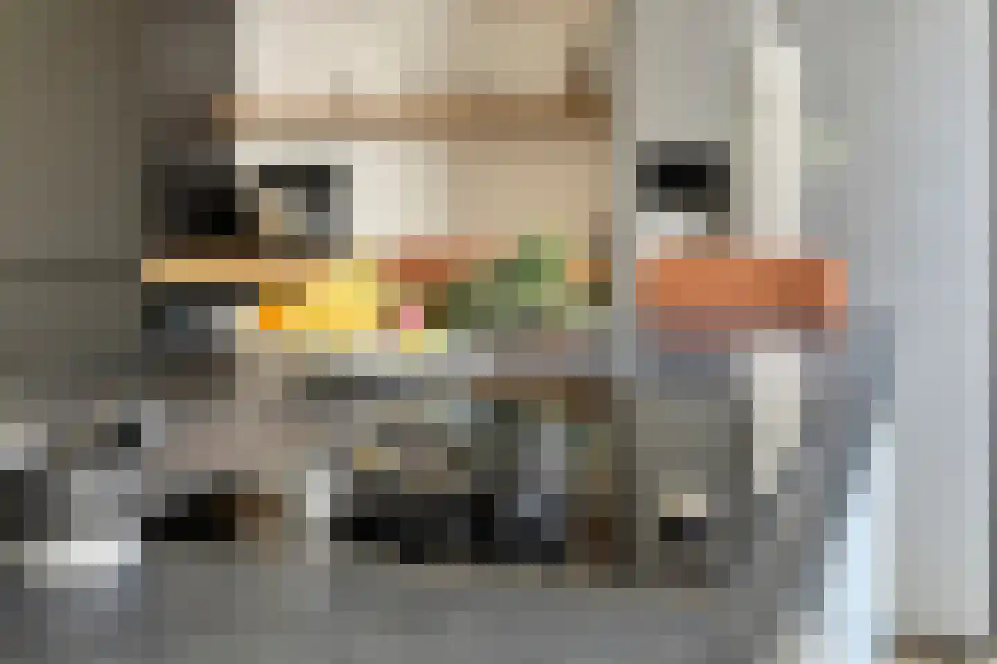 Graspieperlande 11 Pijnacker thumbnail 17