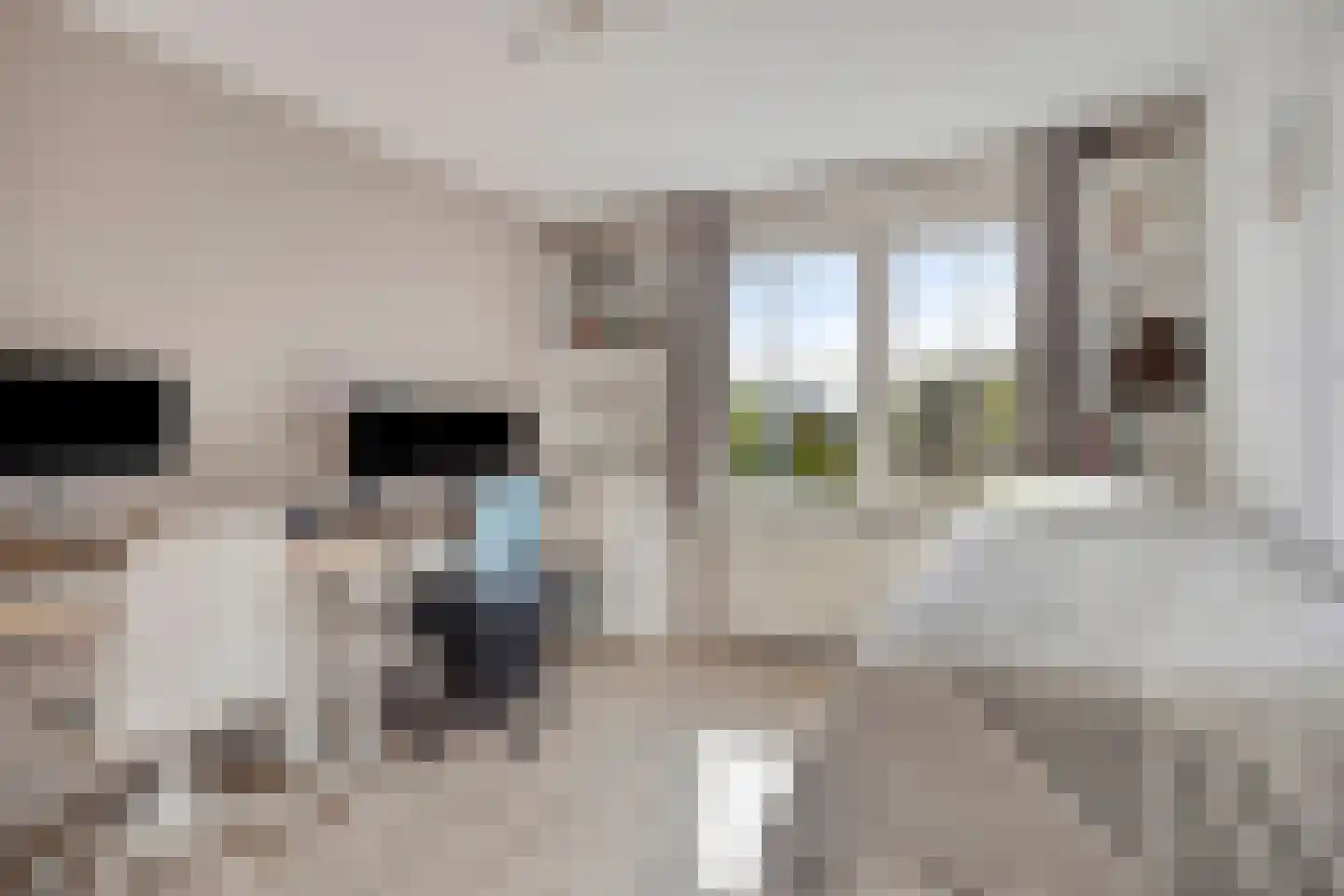 Graspieperlande 11 Pijnacker thumbnail 18