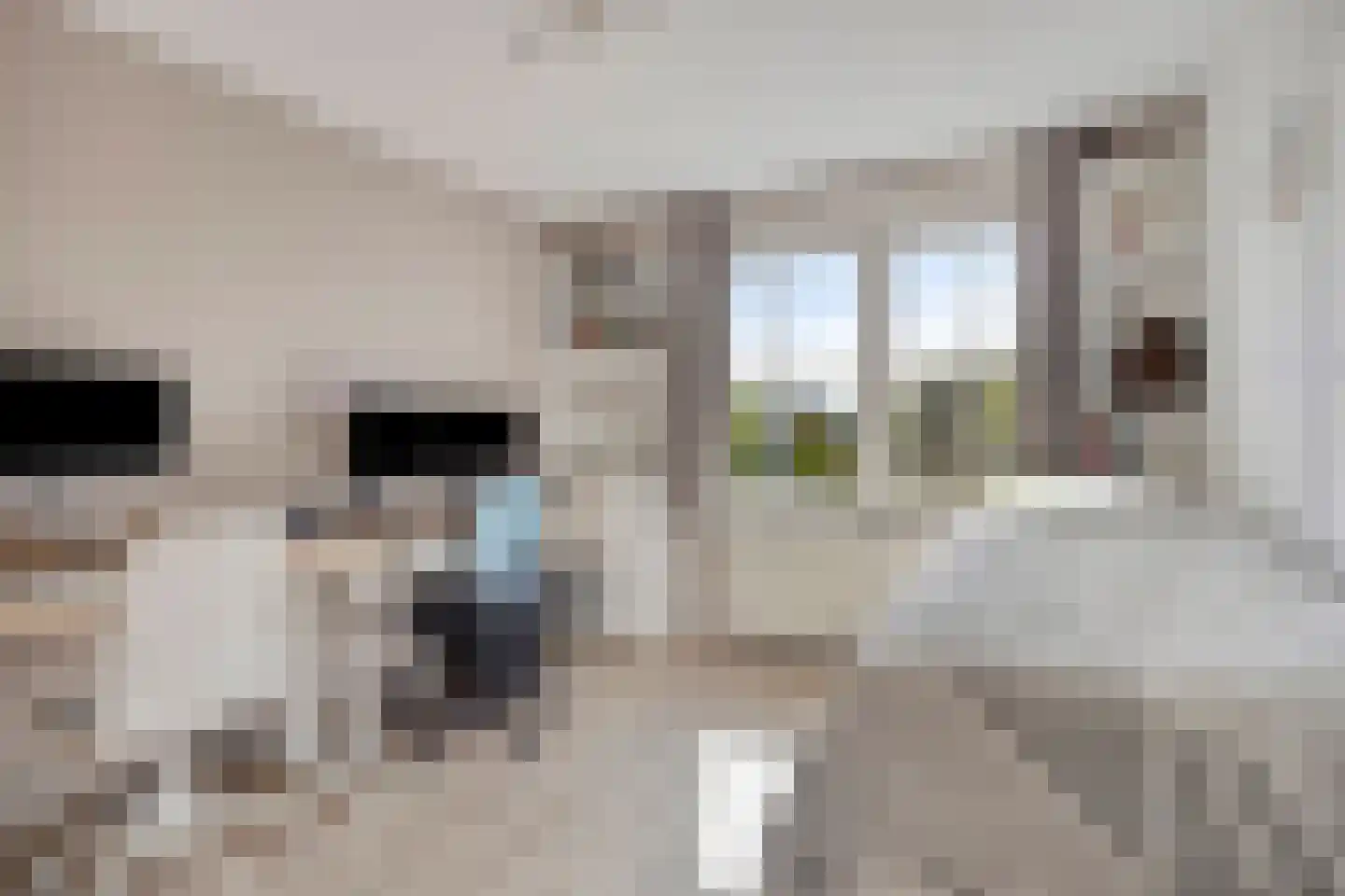 Graspieperlande 11 Pijnacker thumbnail 20