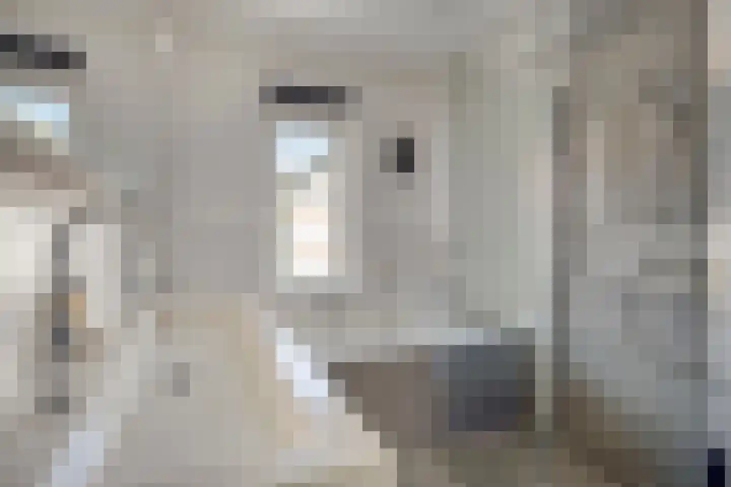 Graspieperlande 11 Pijnacker thumbnail 21