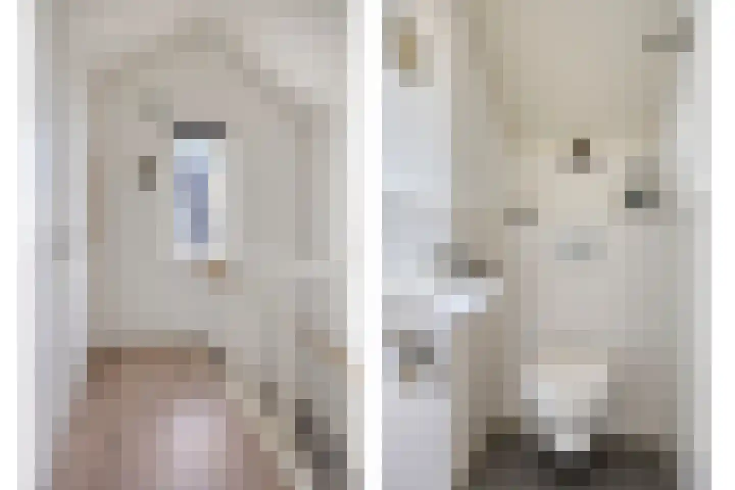 Graspieperlande 11 Pijnacker thumbnail 27