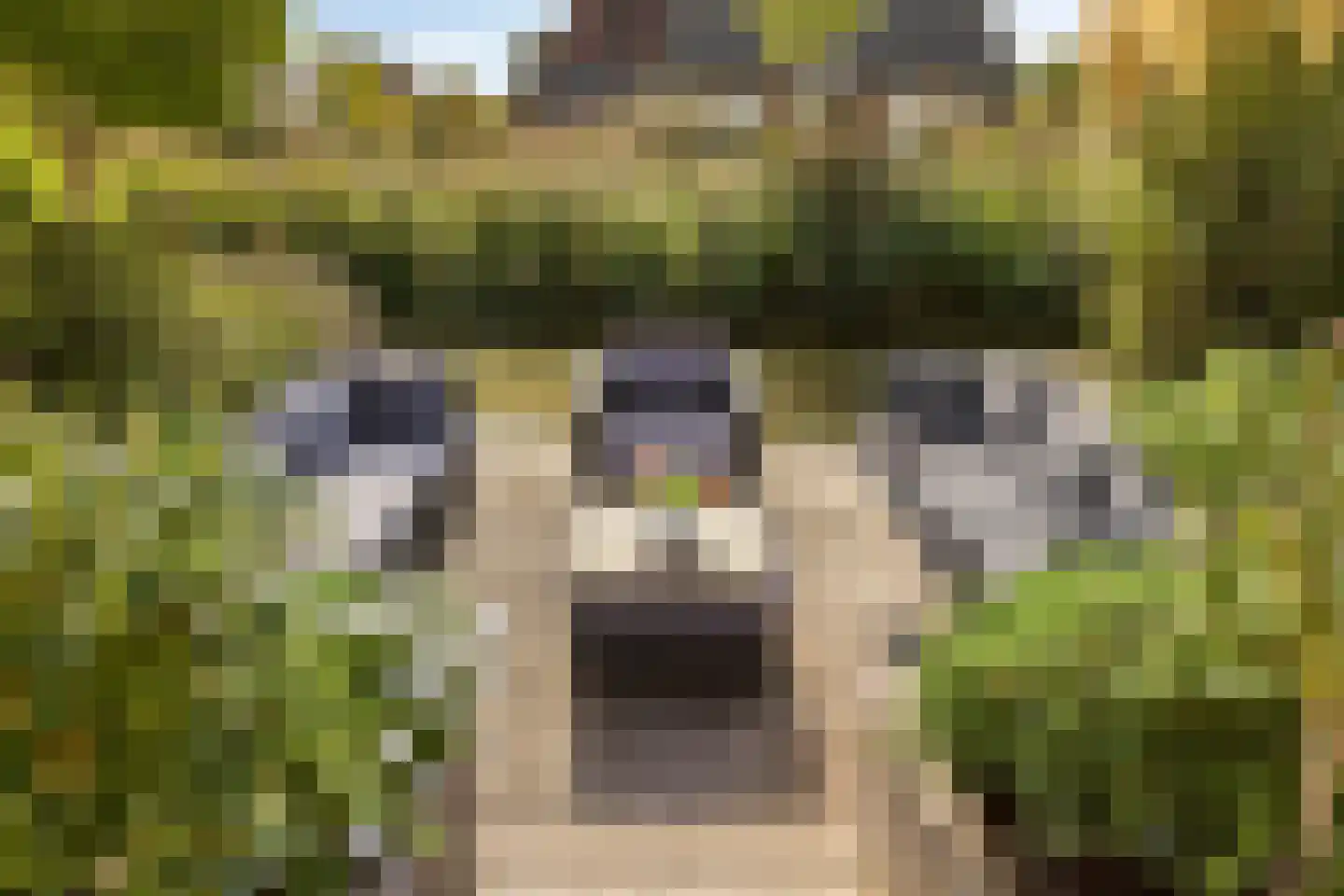 Graspieperlande 11 Pijnacker thumbnail 32