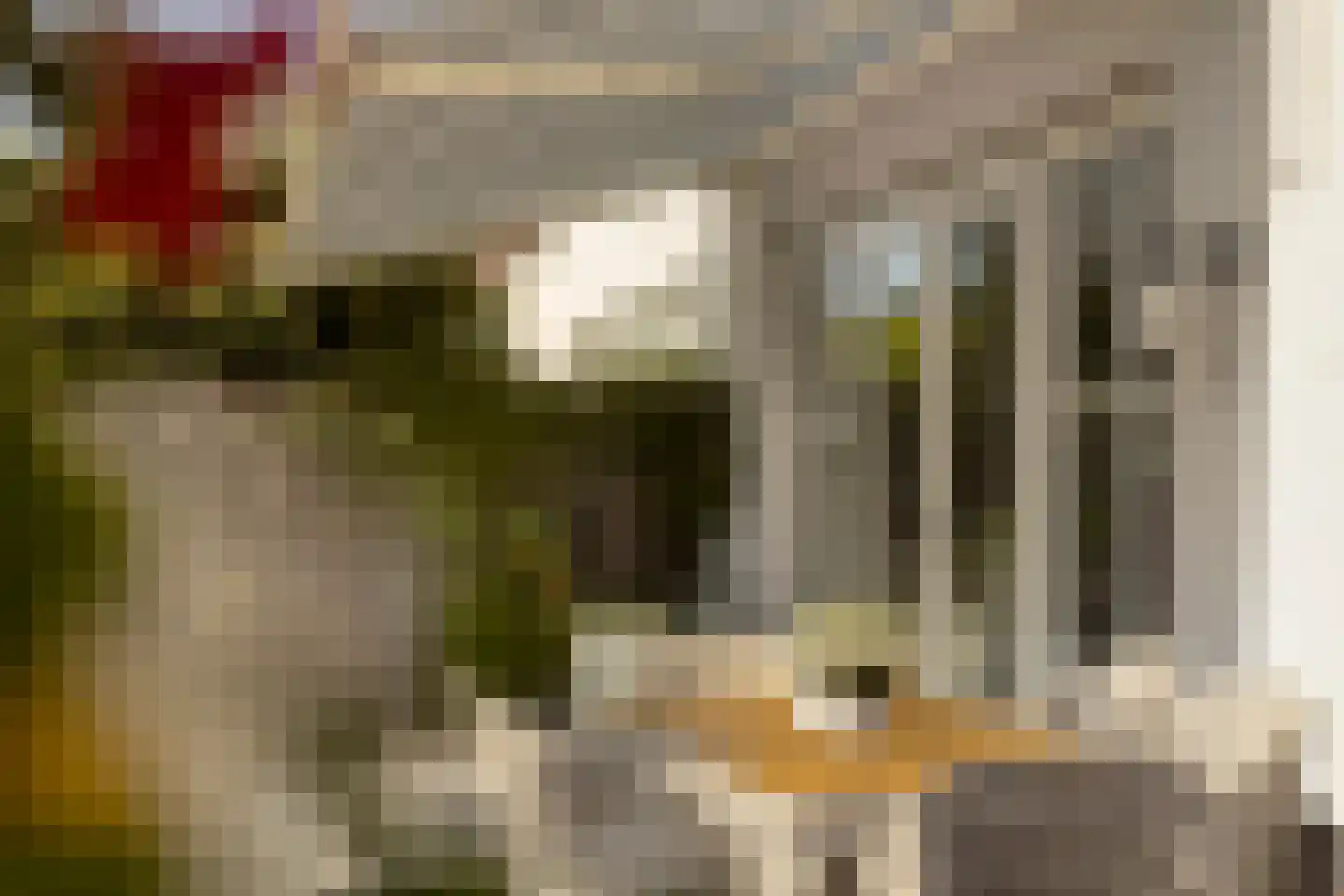 Graspieperlande 11 Pijnacker thumbnail 35