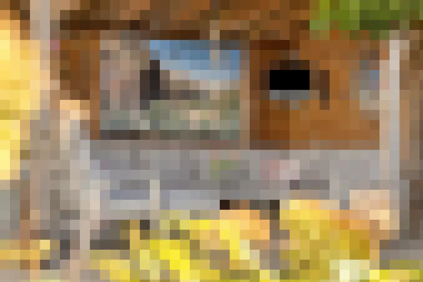 Graspieperlande 11 Pijnacker thumbnail 35