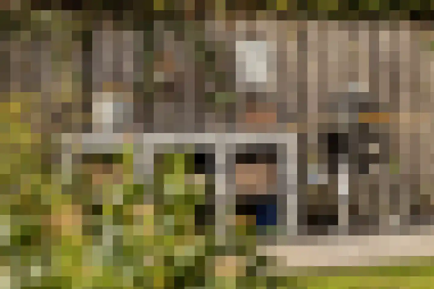 Graspieperlande 11 Pijnacker thumbnail 36