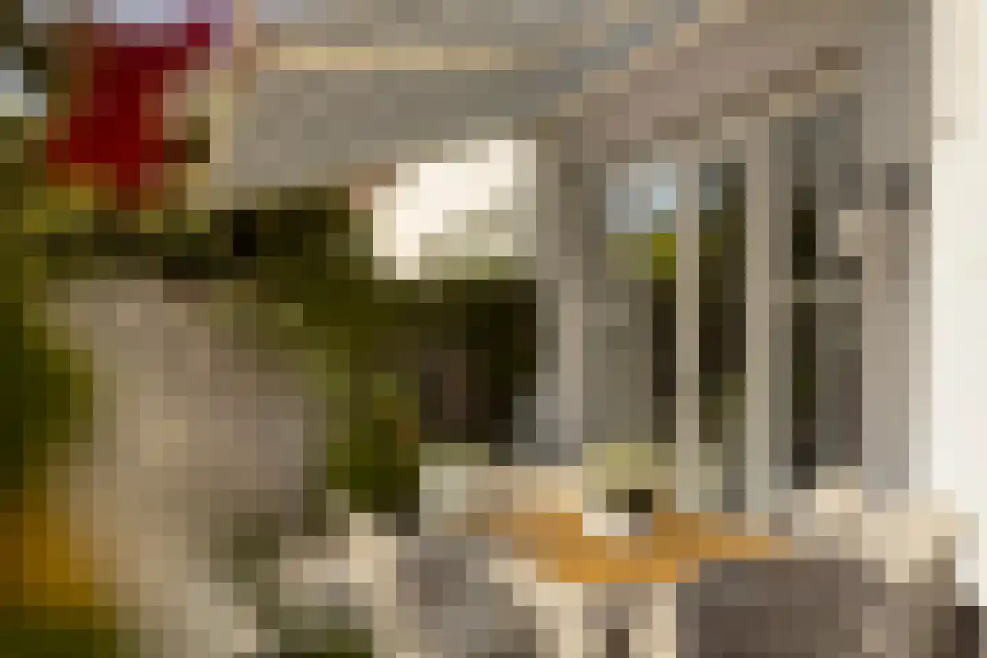 Graspieperlande 11 Pijnacker thumbnail 38
