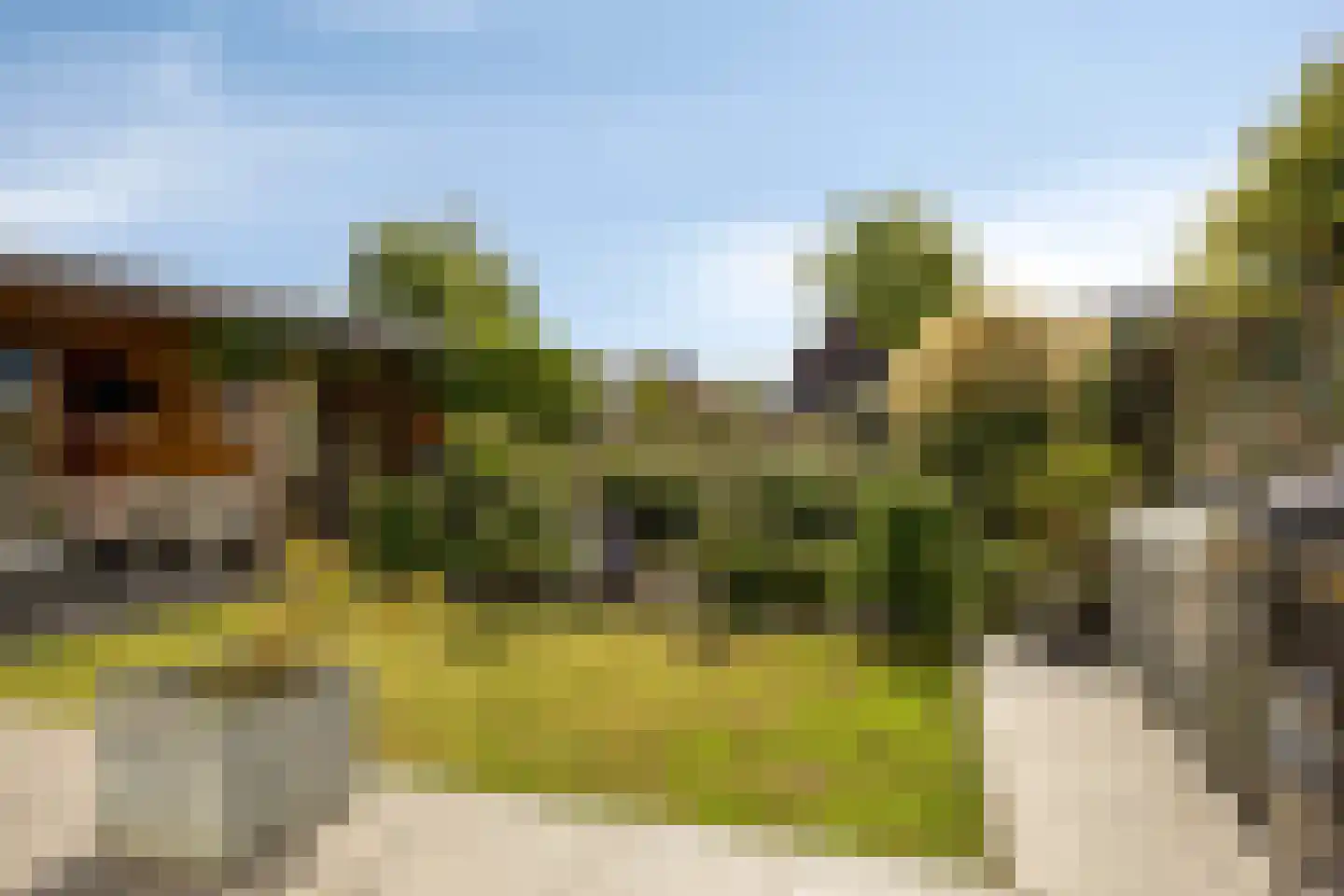Graspieperlande 11 Pijnacker thumbnail 4