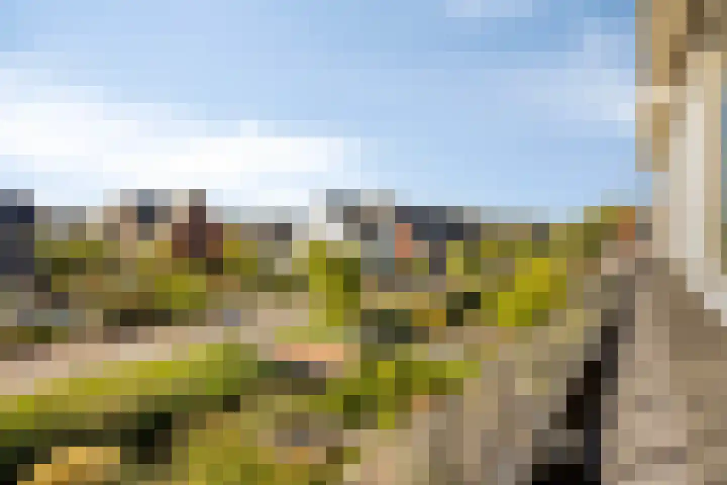 Graspieperlande 11 Pijnacker thumbnail 41