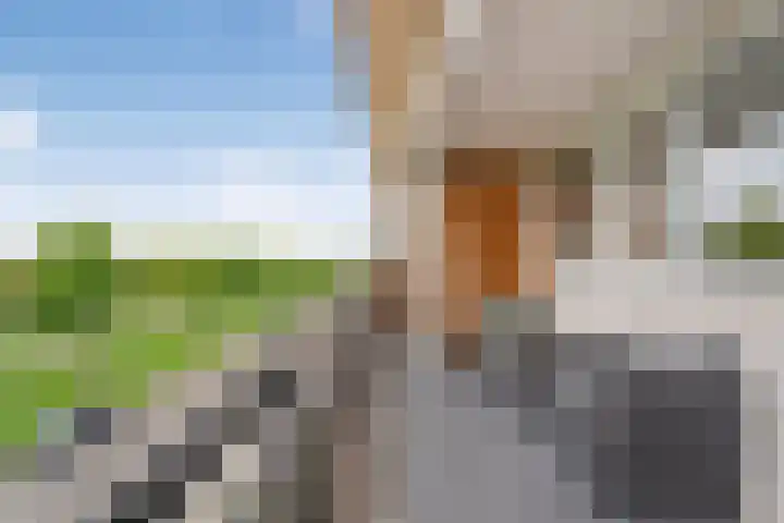 Graspieperstraat 105 Zwolle thumbnail 15