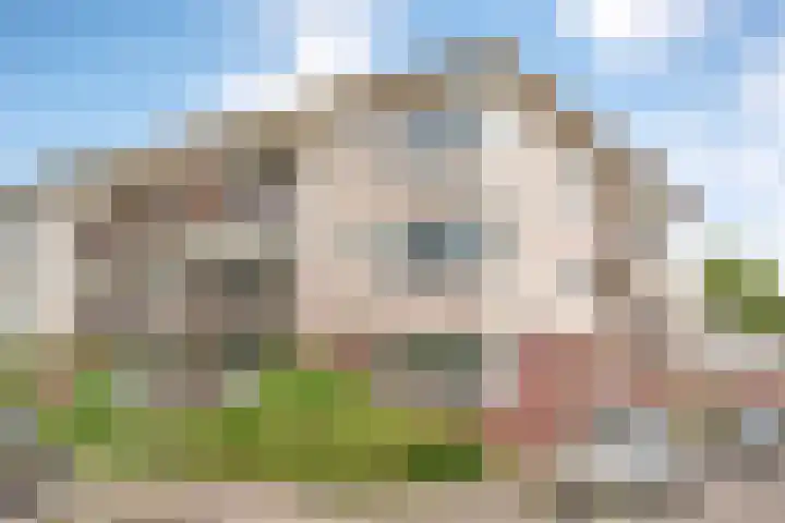 Graspieperstraat 105 Zwolle thumbnail 4